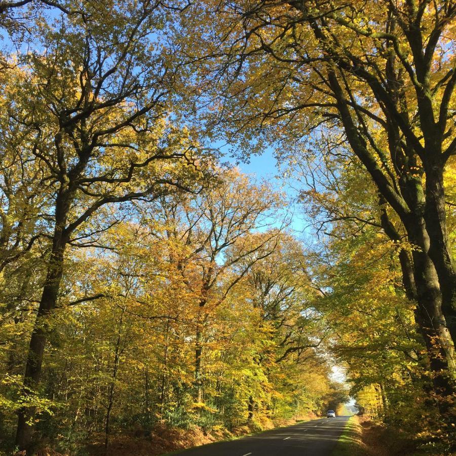 L'Hôtié de Brocéliande Acomodação com café da manhã Paimpont Exterior foto