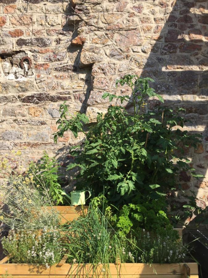 L'Hôtié de Brocéliande Acomodação com café da manhã Paimpont Exterior foto