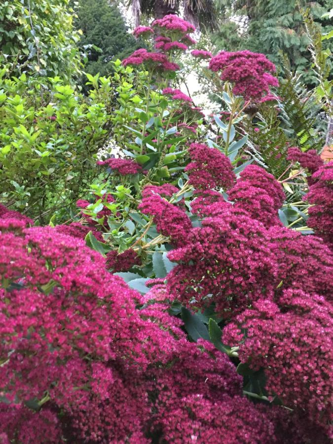 L'Hôtié de Brocéliande Acomodação com café da manhã Paimpont Exterior foto