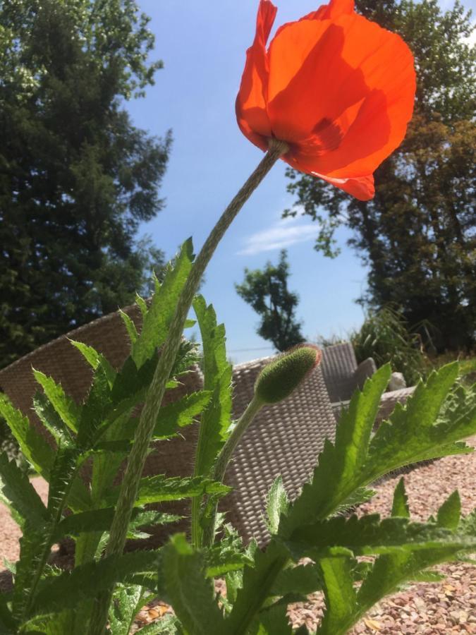 L'Hôtié de Brocéliande Acomodação com café da manhã Paimpont Exterior foto
