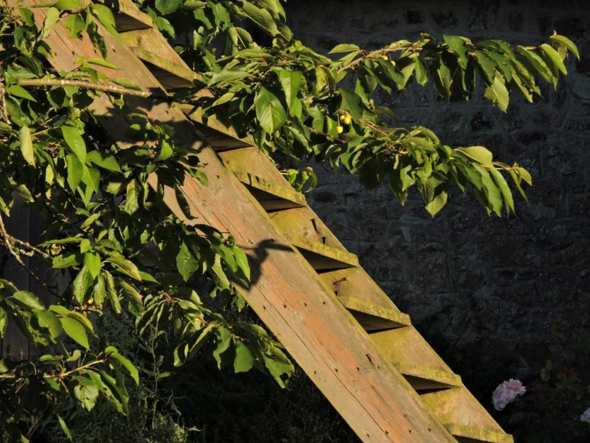 L'Hôtié de Brocéliande Acomodação com café da manhã Paimpont Exterior foto