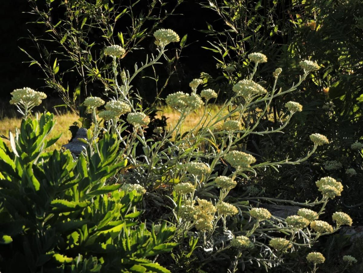 L'Hôtié de Brocéliande Acomodação com café da manhã Paimpont Exterior foto