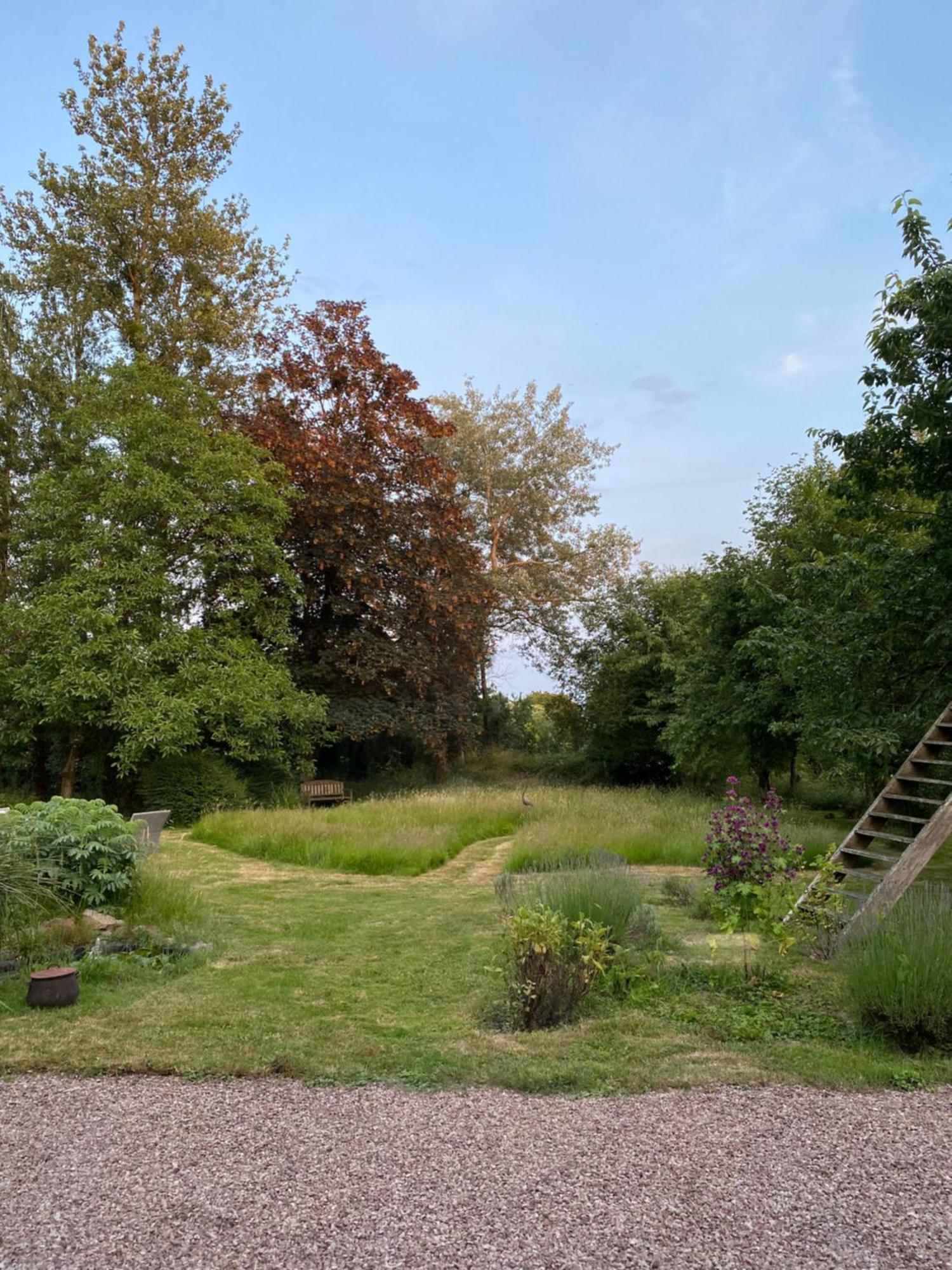 L'Hôtié de Brocéliande Acomodação com café da manhã Paimpont Exterior foto