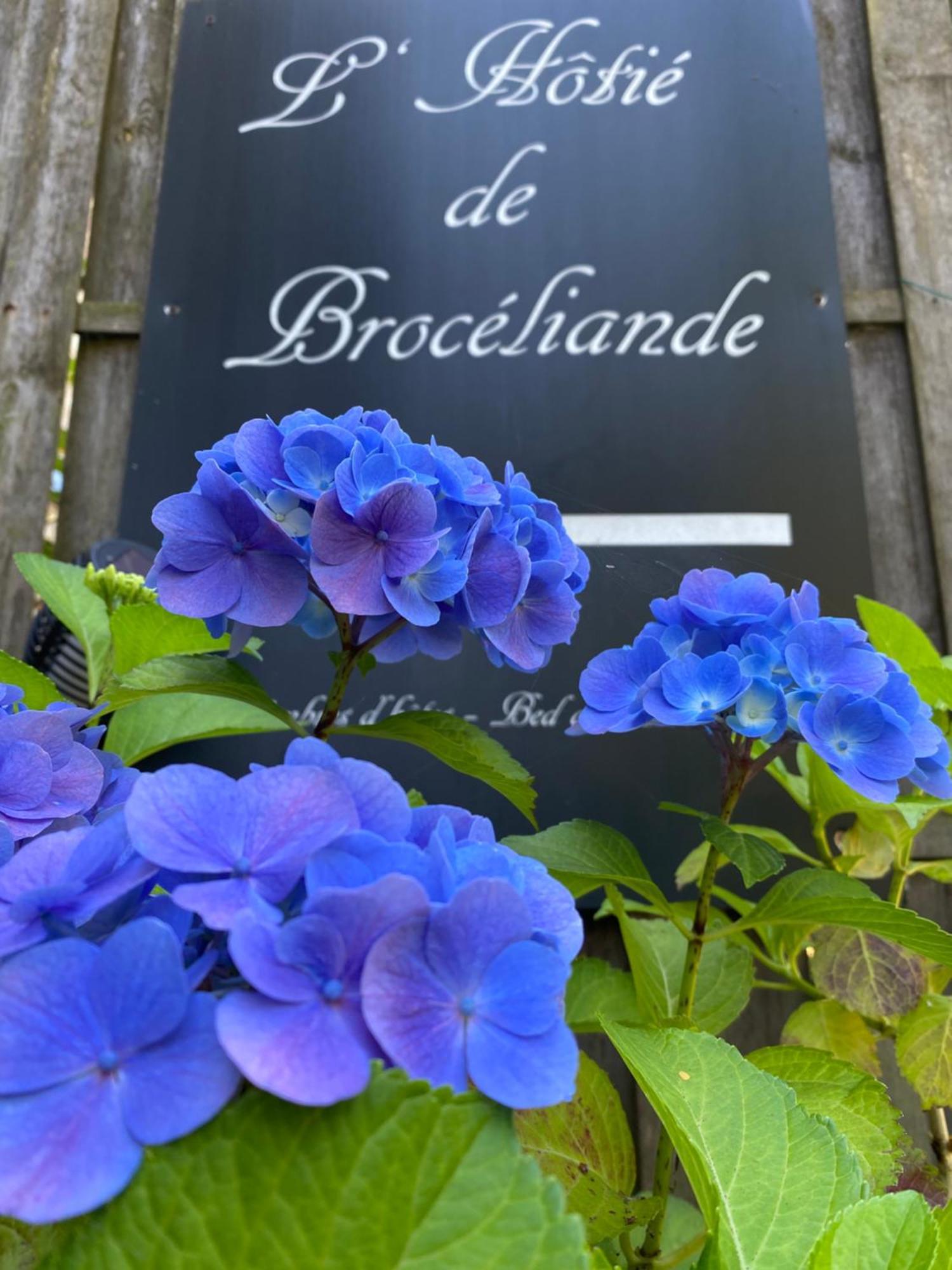 L'Hôtié de Brocéliande Acomodação com café da manhã Paimpont Exterior foto