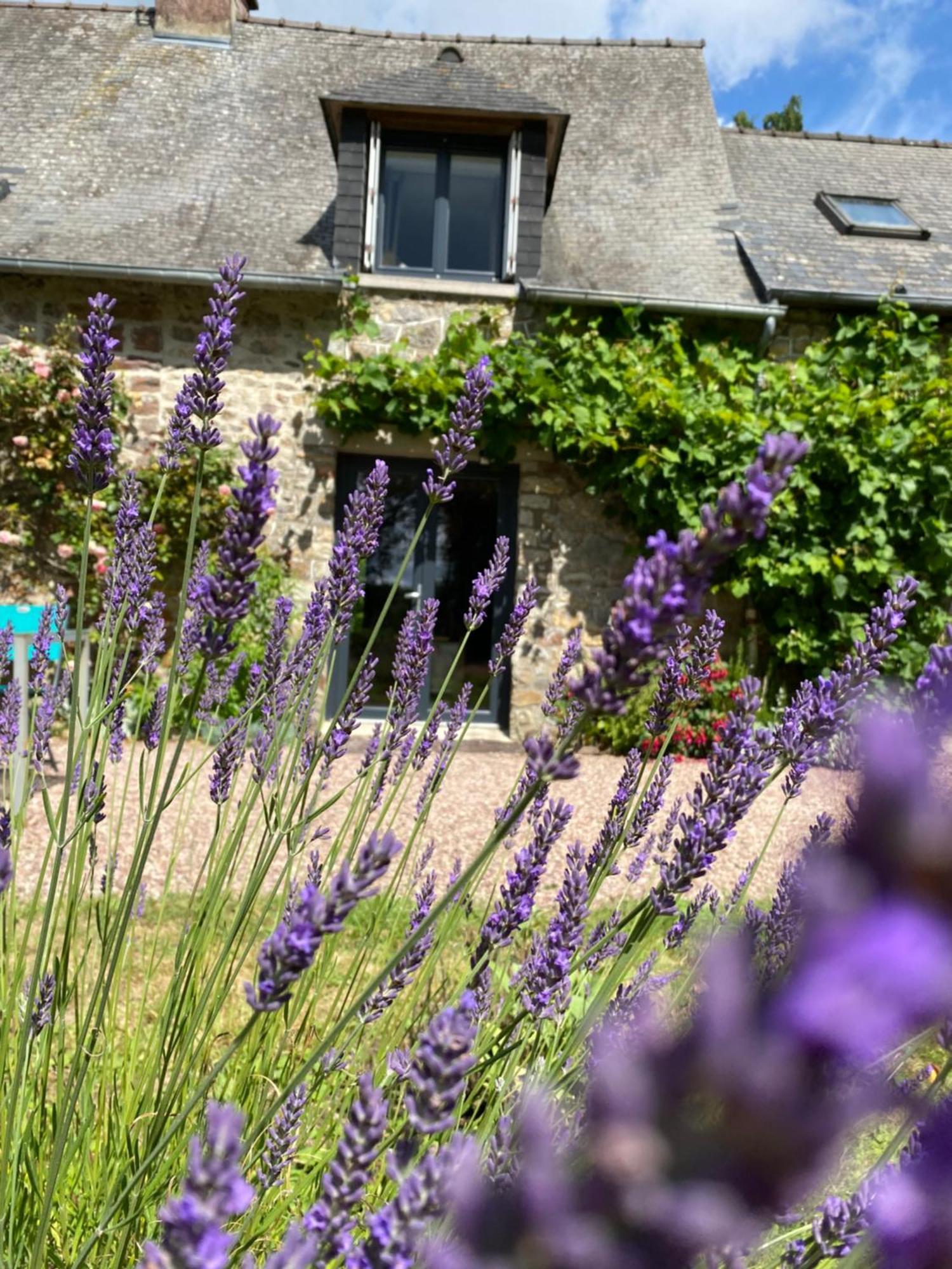 L'Hôtié de Brocéliande Acomodação com café da manhã Paimpont Exterior foto