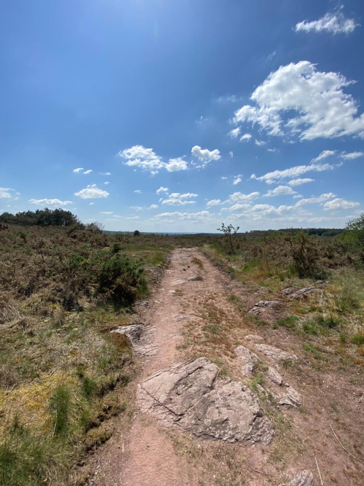 L'Hôtié de Brocéliande Acomodação com café da manhã Paimpont Exterior foto