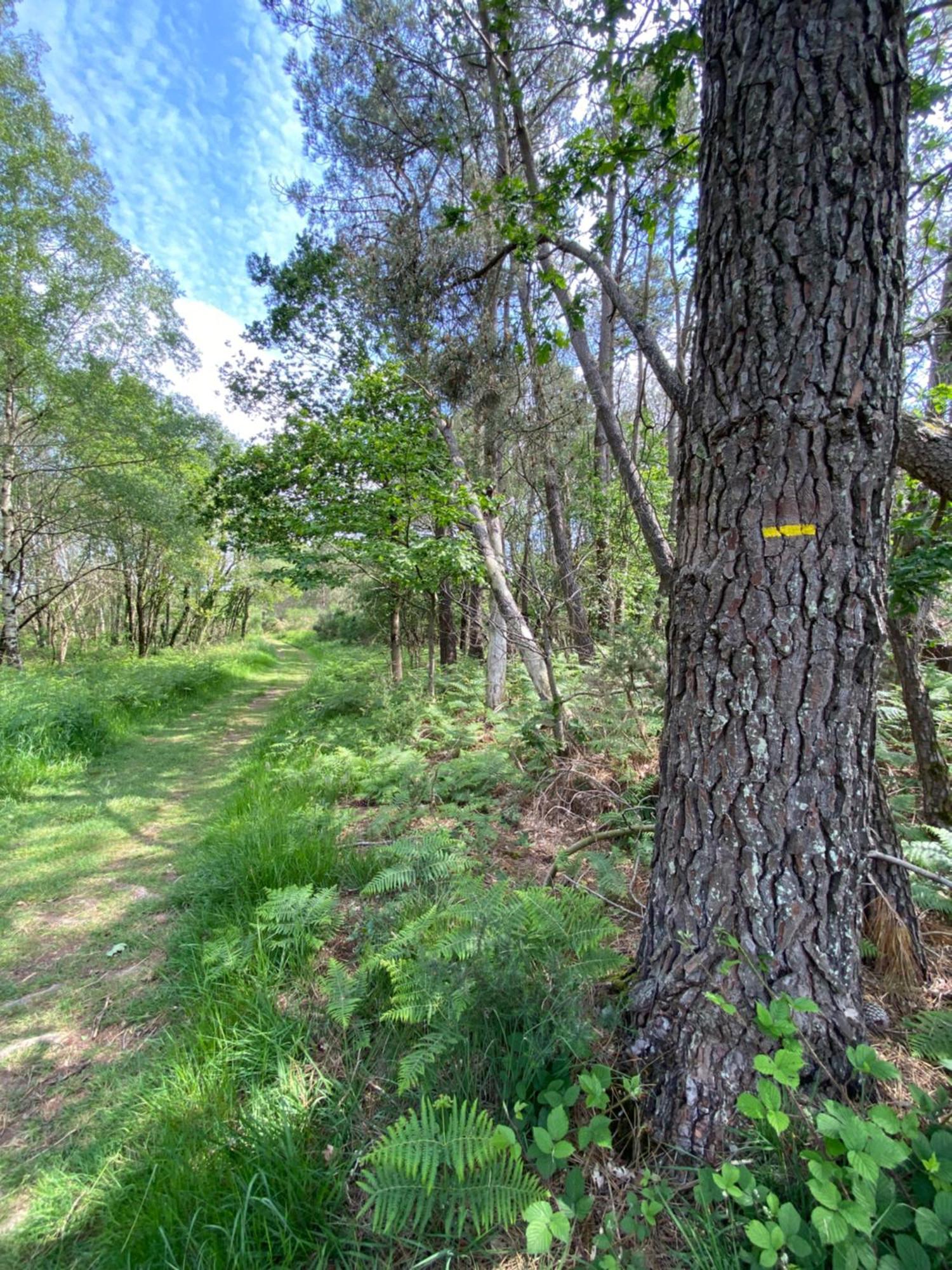 L'Hôtié de Brocéliande Acomodação com café da manhã Paimpont Exterior foto