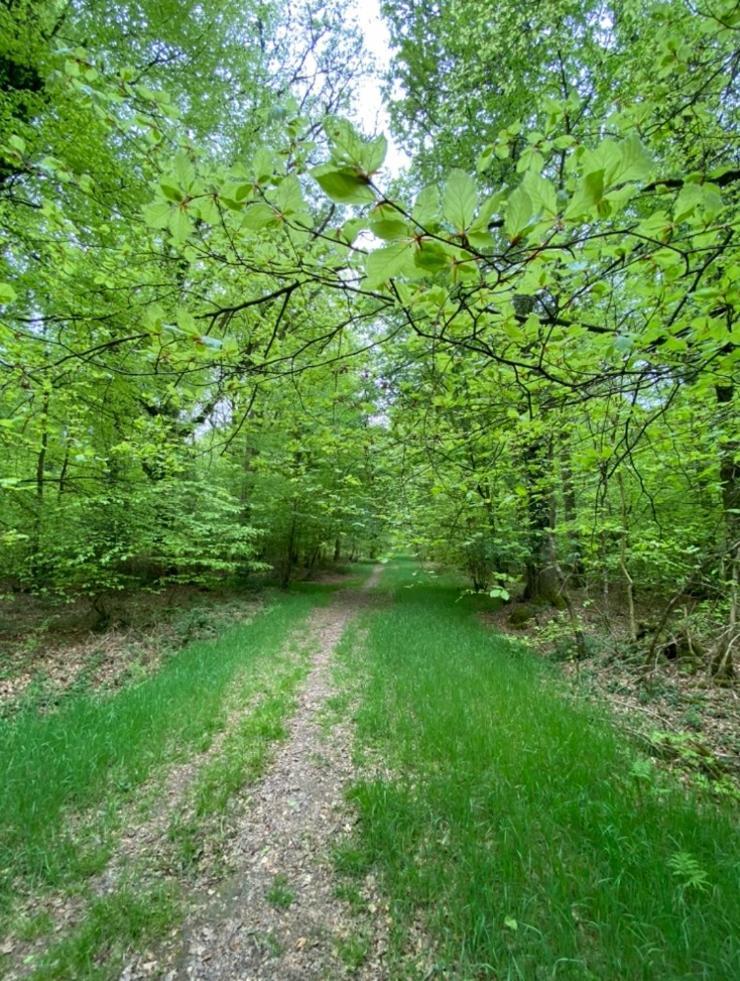 L'Hôtié de Brocéliande Acomodação com café da manhã Paimpont Exterior foto
